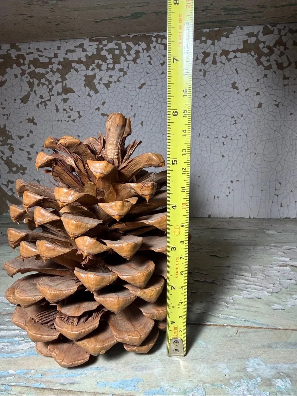 N/A large pine